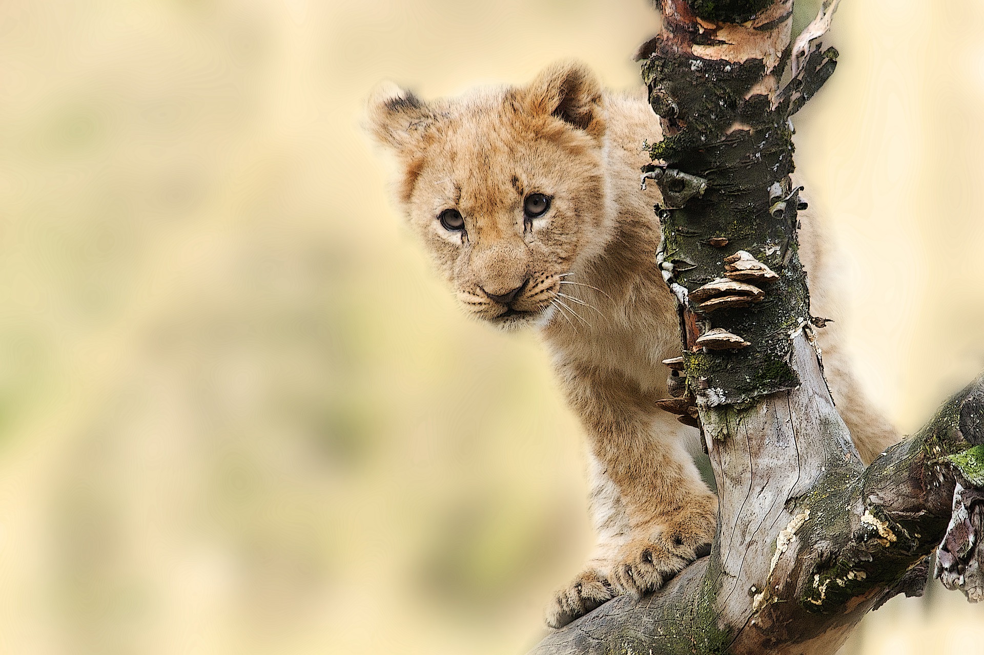 Adventure In Selous (Nyerere National Park)