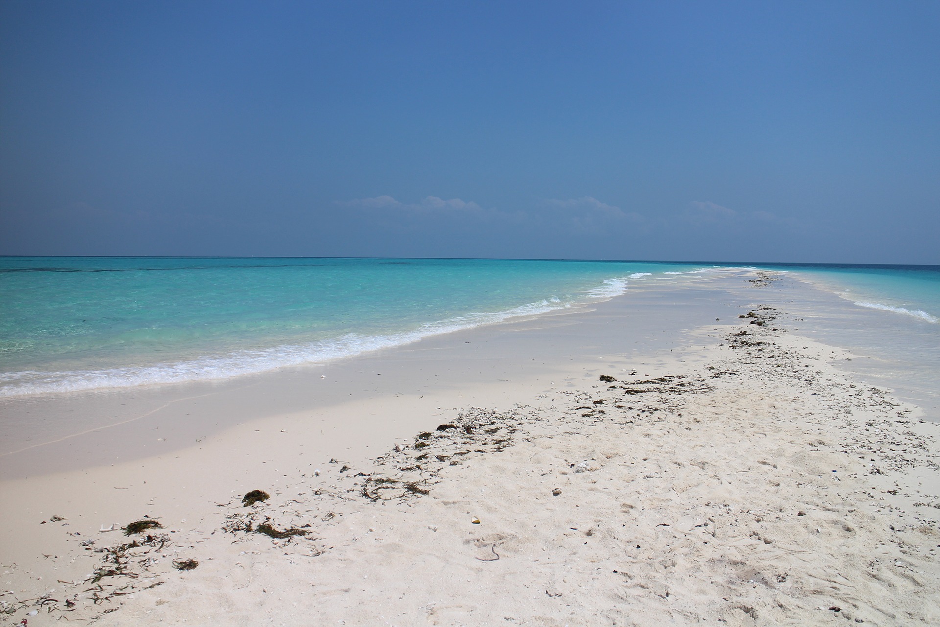 Zanzibar Excursion